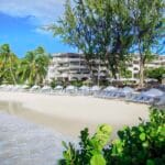 Bougainvillea Barbados