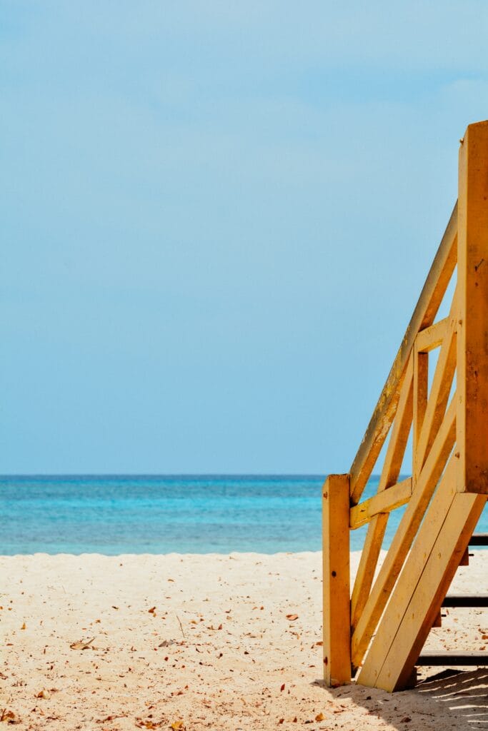 The Best Beaches in Barbados for Snorkeling & Diving