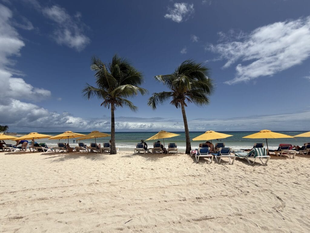 Beach umbrellas and palm trees on the sand at Dover Beach, Barbados