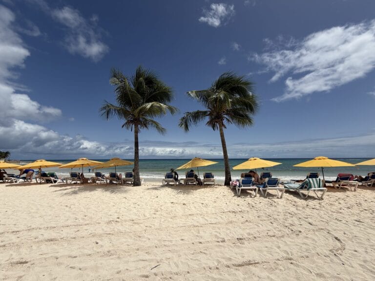 Beach umbrellas and palm trees on the sand at Dover Beach, Barbados