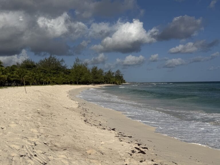 Curving white sand and clear turquoise water at Drill Hall Beach, Barbados