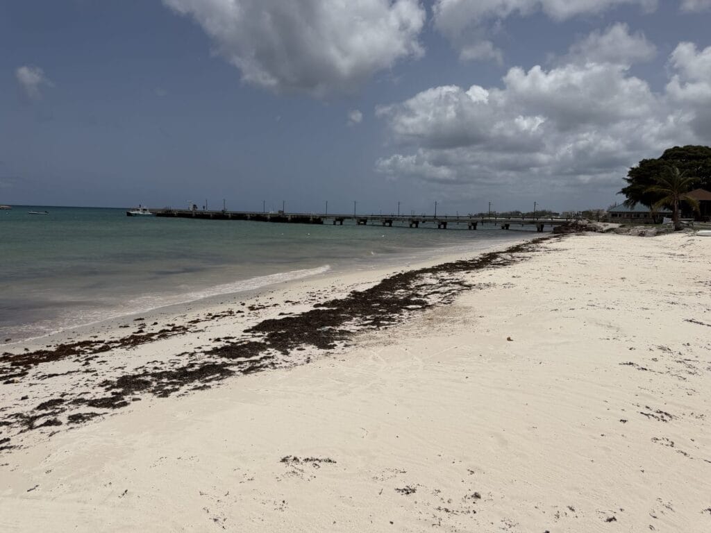 Sand curving toward the fishing jetty at Oistins Bay Beach, Barbados