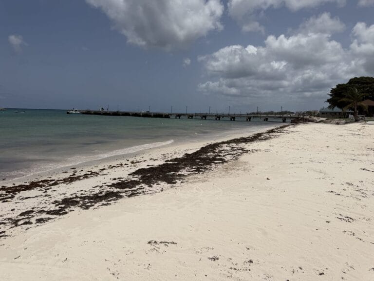 Sand curving toward the fishing jetty at Oistins Bay Beach, Barbados