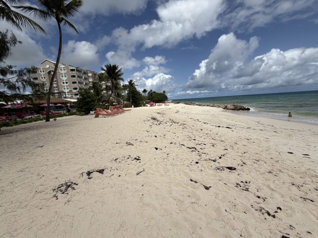Palm tree and resort frontage along the sand at Turtle Beach, Dover, Barbados